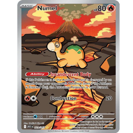 Numel Ascended Heroes Illustration Rare • 223/217 Holofoil